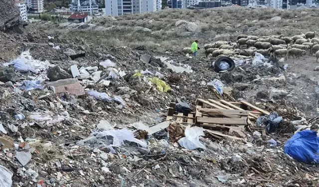 Etimesgut Belediyesi'ne çevre kirliliği cezası: 668 bin lira