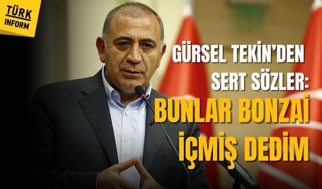 Gürsel Tekin: Bunlar bonzai içmişler dedim