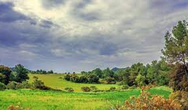 Pastoral şiir nedir, özellikleri nelerdir? Pastoral şiir örnekleri