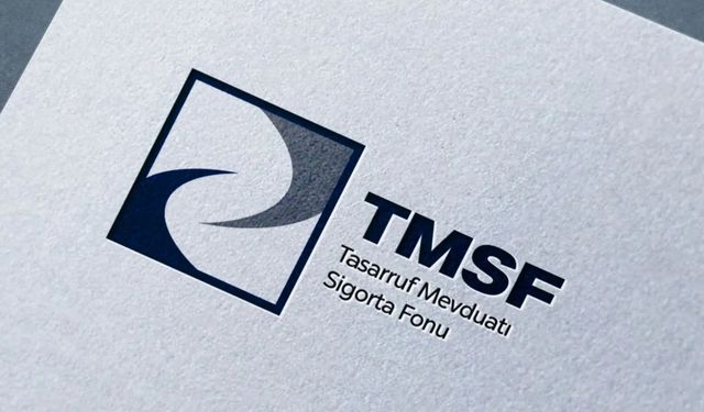TMSF nedir? Ne iş yapar, nasıl el koyar ve bir devlet kurumu mu