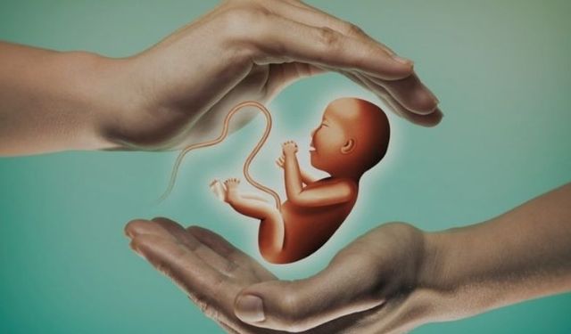 Adım adım tüp bebek süreci ve bilmeniz gerekenler