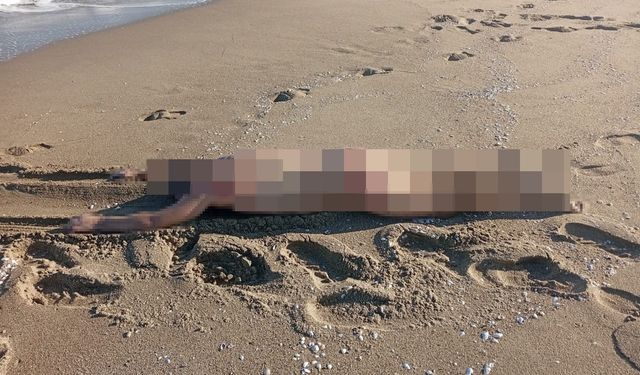 Sakarya sahilinde dehşete düşüren olay! 27 yaşındaki gencin cesedi bulundu