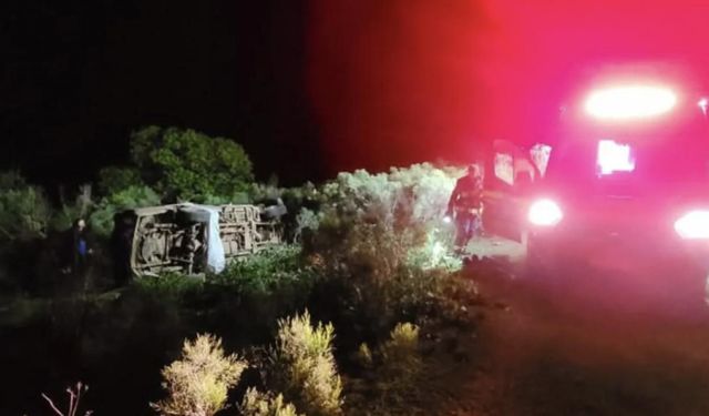 Brezilya'da kızını arılardan kurtarmak isteyen baba ve kızı hayatını kaybetti