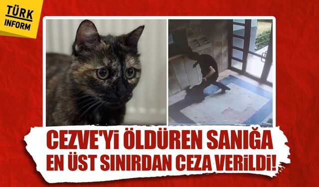 Cezve'yi öldüren sanığa en üst sınırdan ceza verildi!