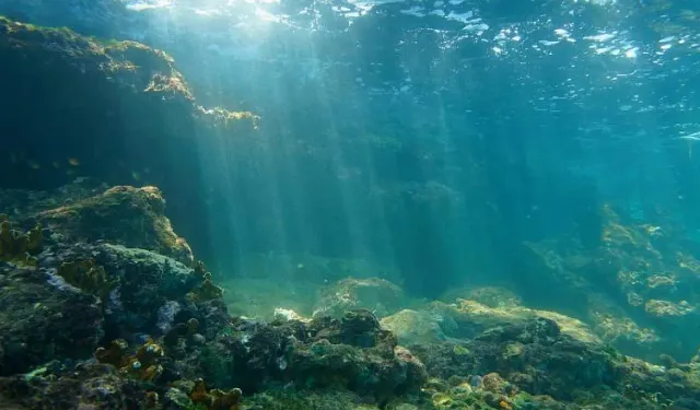 Hidrografya nedir, neyi inceler ve ne işe yarar? Özellikleri ve alt dalları