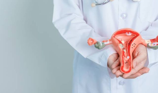 Jinekolojik onkoloji nedir? Jinekolojik onkoloji hangi hastalıklara bakar?