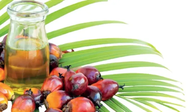 Palm yağı uyarısı: Uzmanlardan işlenmiş gıdalar için kritik açıklama