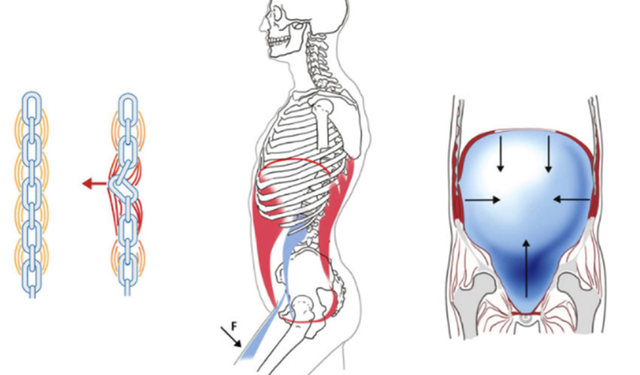 Stabilizasyon nedir, ne anlama gelir?