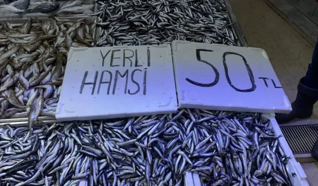 Tekirdağ'da hamsinin kilosu 50 liraya düştü! Balıkçılar 'sigaradan ucuz' diye bağırarak sattı