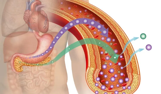 Trigliserid nedir? Trigliserid seviyesi kaç olmalı? Trigliserid düşüklüğü belirtileri