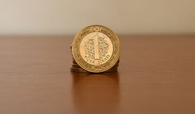 1 liranın maliyeti 4.5 lira oldu