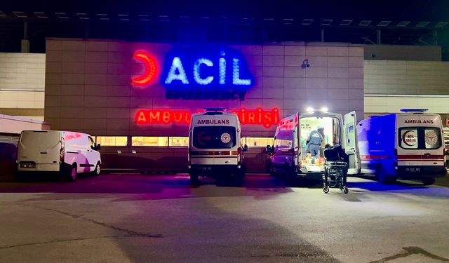 Ankara’da pitbull saldırısı: İki kardeş feci şekilde yaralandı