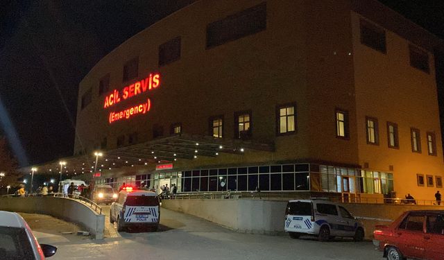 Çorum’da ‘Hayvan otlatma’ tartışması faciayla bitti: Komşusunu öldürüp intihar etti!