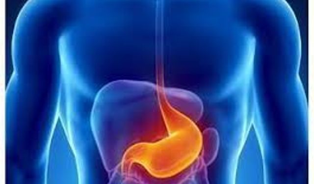 Safra reflüsü nedir, belirtileri ve nedenleri nelerdir?