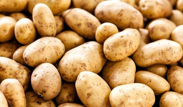 Ticaret Bakanlığı'ndan 'patates fiyatı' yalanlaması: 25 lira değil, 12,75 lira
