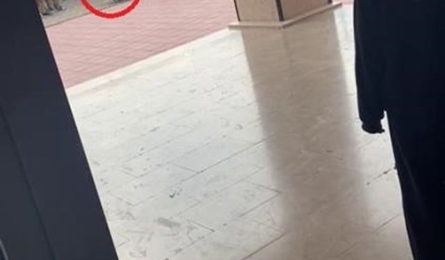 Bursa'da durduk yere öğrencisini darp etmişti: O okul müdürü hakkında karar verildi!