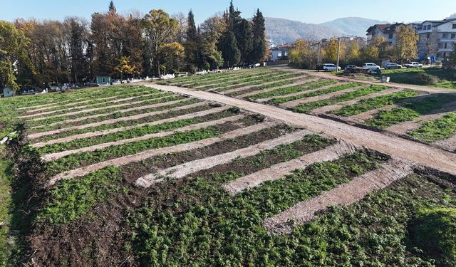 Gölcük'ün mezarlık sorununa kalıcı çözüm