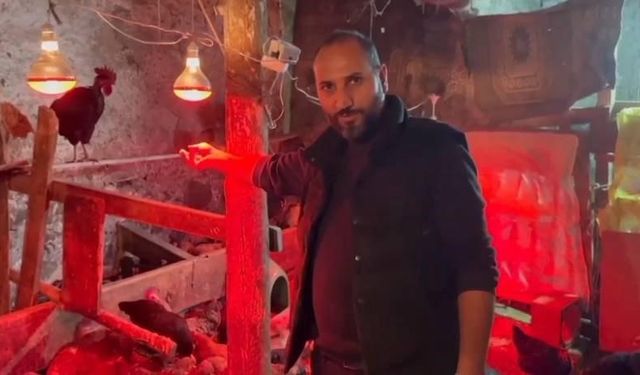 Karslı üreticiden tavuklara müzikli terapi