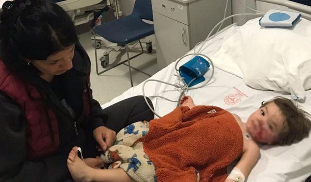 Ankara’da iki kardeşe saldıran pitbullun sahibi tutuklandı