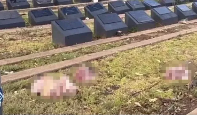 Silahlı saldırı sonrası provokasyon! Müslüman mezarlığına domuz kafaları bırakıldı