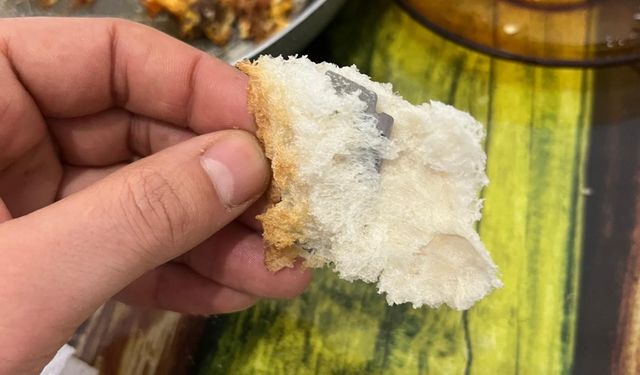 Kahvaltıda ekmeğin içinden çıkanı görünce şok oldu