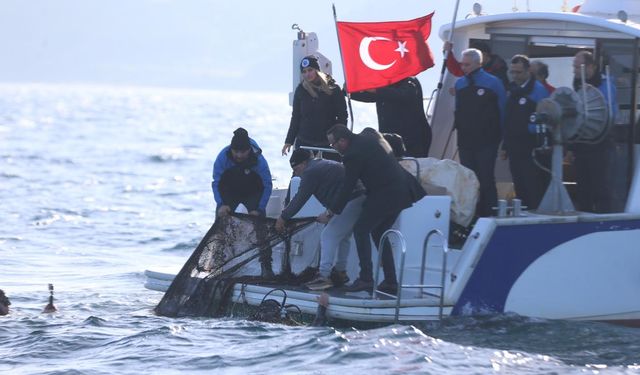 11 yılda denizlerden milyonlarca metrekare hayalet ağ temizlendi