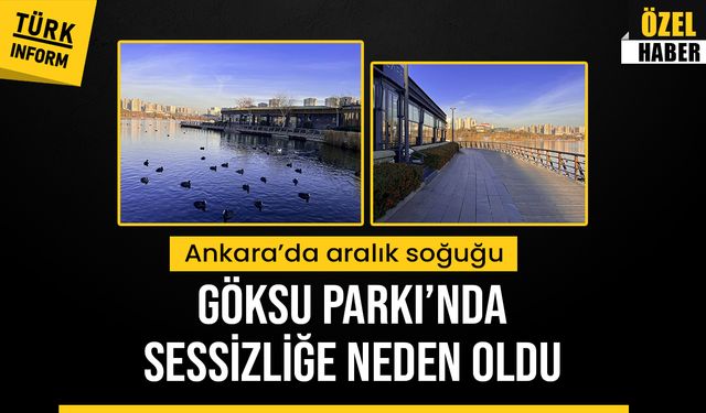 Ankara Göksu Parkı soğuyan havalarla adeta boş kaldı