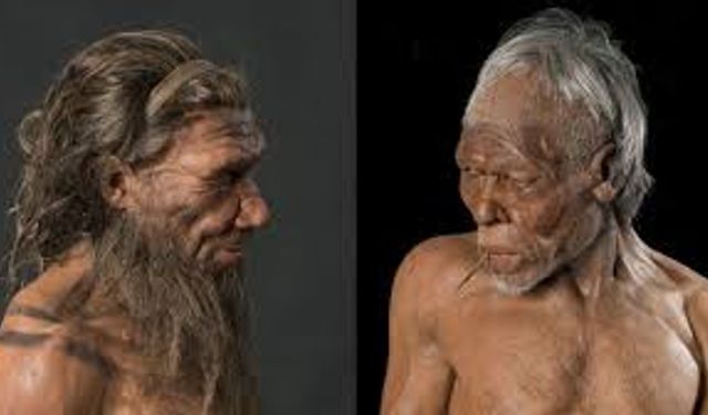 Homo sapiens nedir? Homo sapiens teorisi nedir?