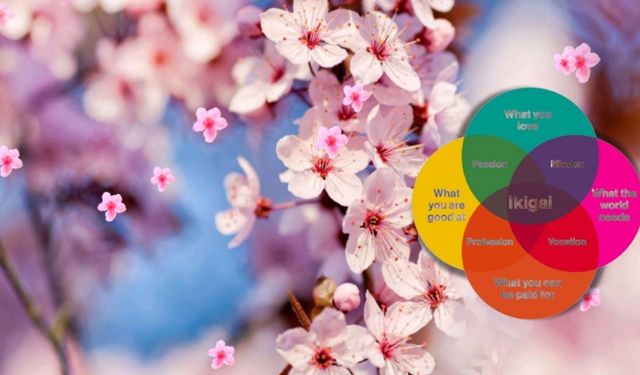Japonların varoluş felsefesi : İkigai nedir?