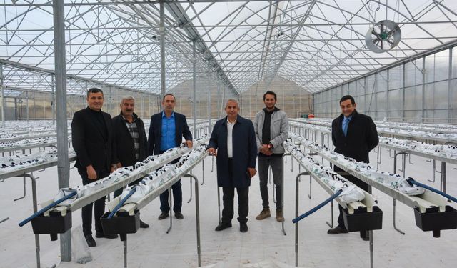 Kahramankazan'da termal sera açılıyor