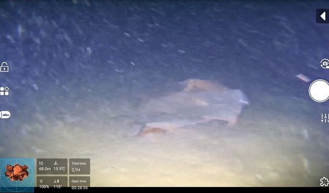 Marmara denizindeki 50 yıllık sır, sular yüzüne çıkıyor!