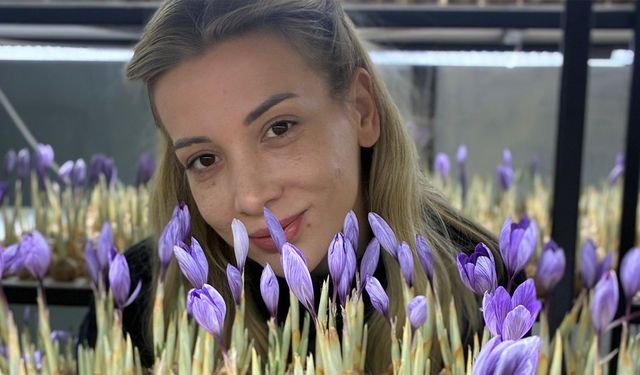 Genç yaşta mesleğini bıraktı, safran üretmeye başladı!