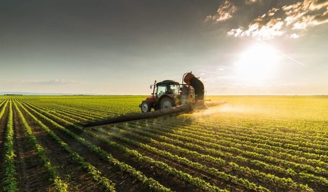 TÜİK açıkladı: 2025’te bitkisel üretimde düşüş yaşanıyor