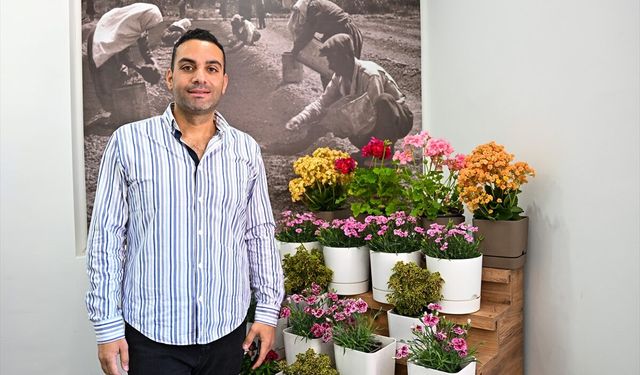 BATEM’de yerli sardunya çeşitleri için ıslah çalışması