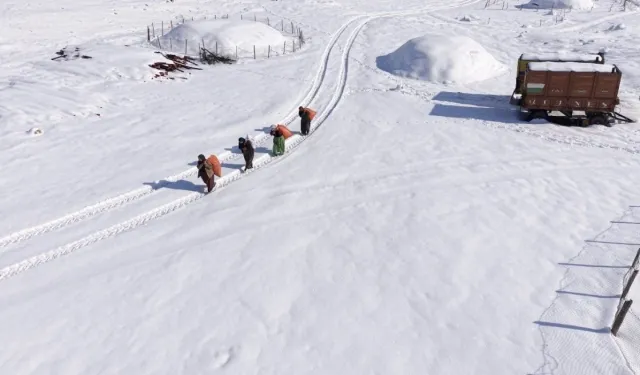 Mardin kırsalda hayat felç oldu