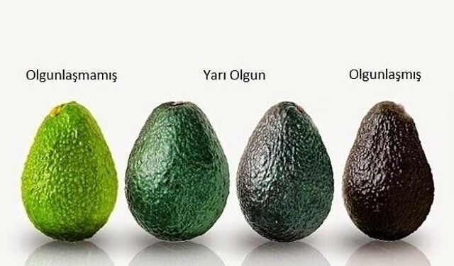 Avokado nasıl yenir? Avokado nasıl kesilir?