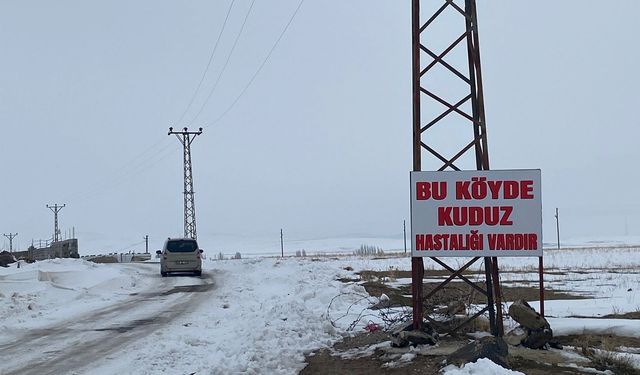 Bitlis'te kuduz nedeniyle bir köy karantina altına alındı!