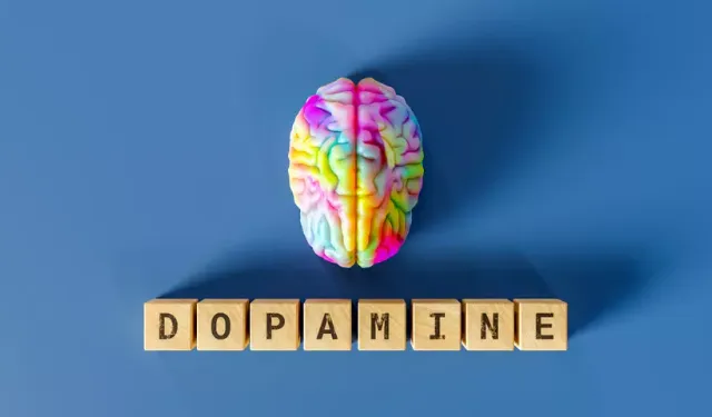 Dopamin nedir? Dopamin detoksu nedir?
