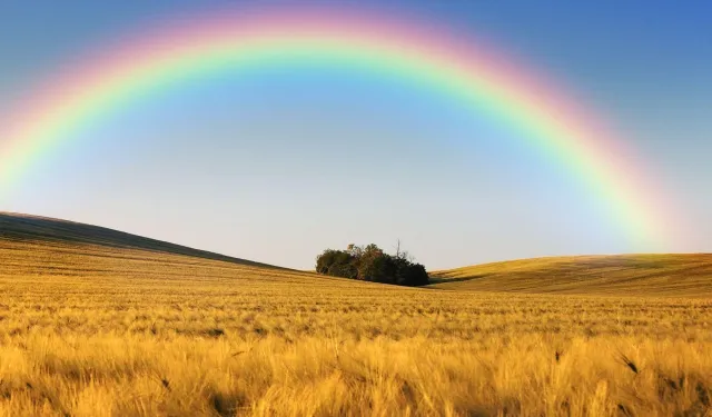 Gökkuşağının büyüleyici dansı, yağmur sonrası mucize