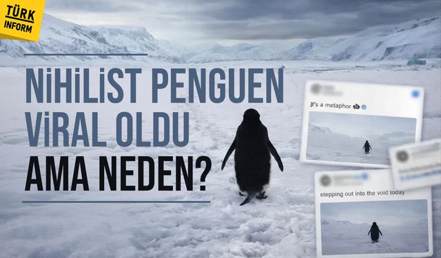 Nihilist penguen olayı nedir? Penguen neden viral oldu? Nihilist penguen öldü mü?