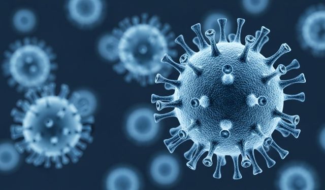 Ölüm vakaları artıran Nipah virüsü yayılıyor mu?