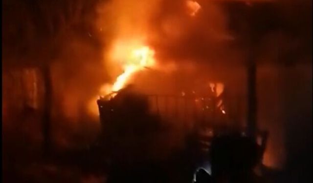 Ordu'da dehşet anları: Alev topu her şeyi yaktı, yuttu!