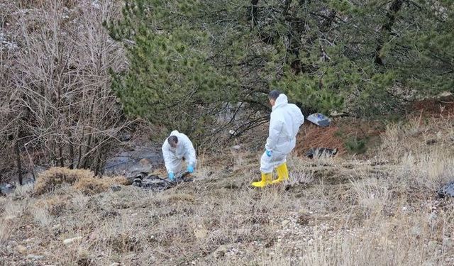 Korkunç cinayet: Cesedi parçalanmış poşetlere konulmuş! Kayıp baş aranıyor