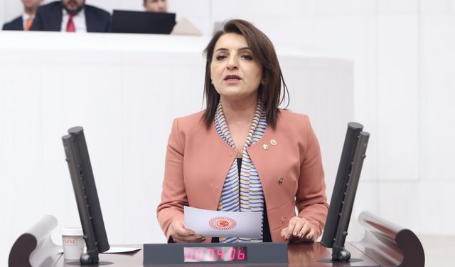 Kış: “Kamu zararını kim karşılayacak?”
