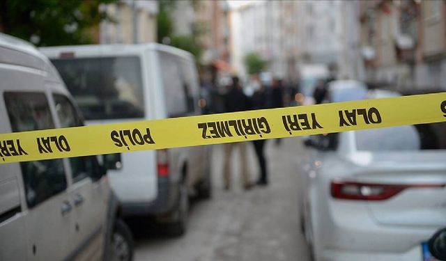 Muğla'daki köpek cinayetinde gelişme