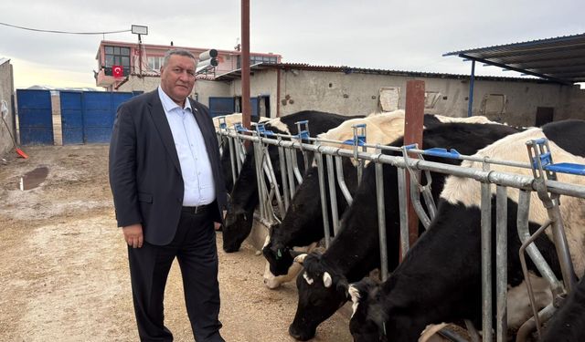 Gürer: “Bir litre süt, bir buçuk kilo yem etmiyor"