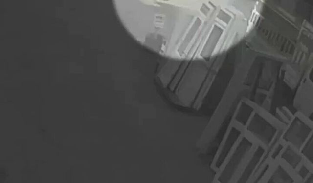 Trabzon'da köpekten kaçarken yola atlayan üniversite öğrencisine otobüs çarptı