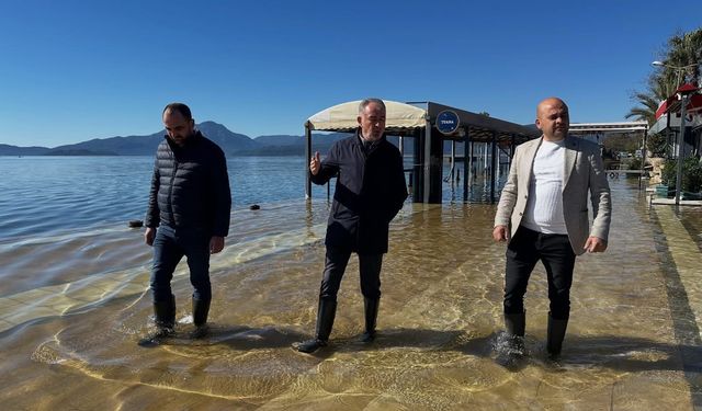 Uzun: “Kayıplar gecikmeden karşılanmalı”