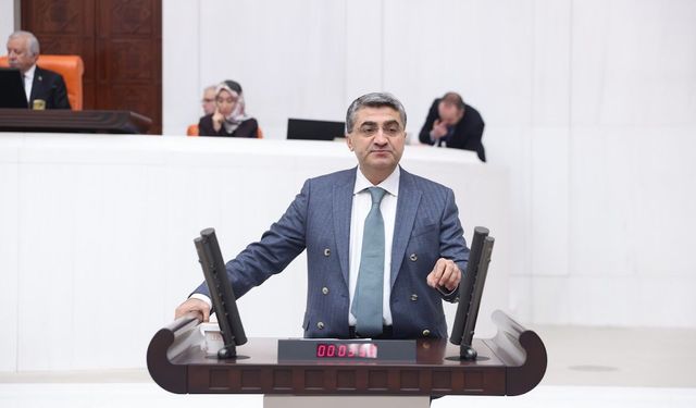 Ekmen: “Kök sebepler ele alınmalı”