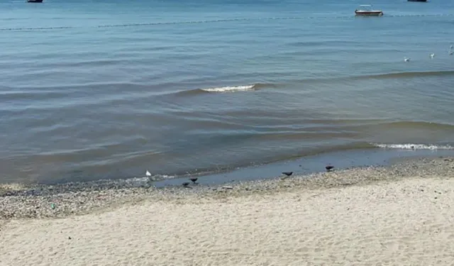 Ayvalık’ta sahilde kadın cesedi bulundu